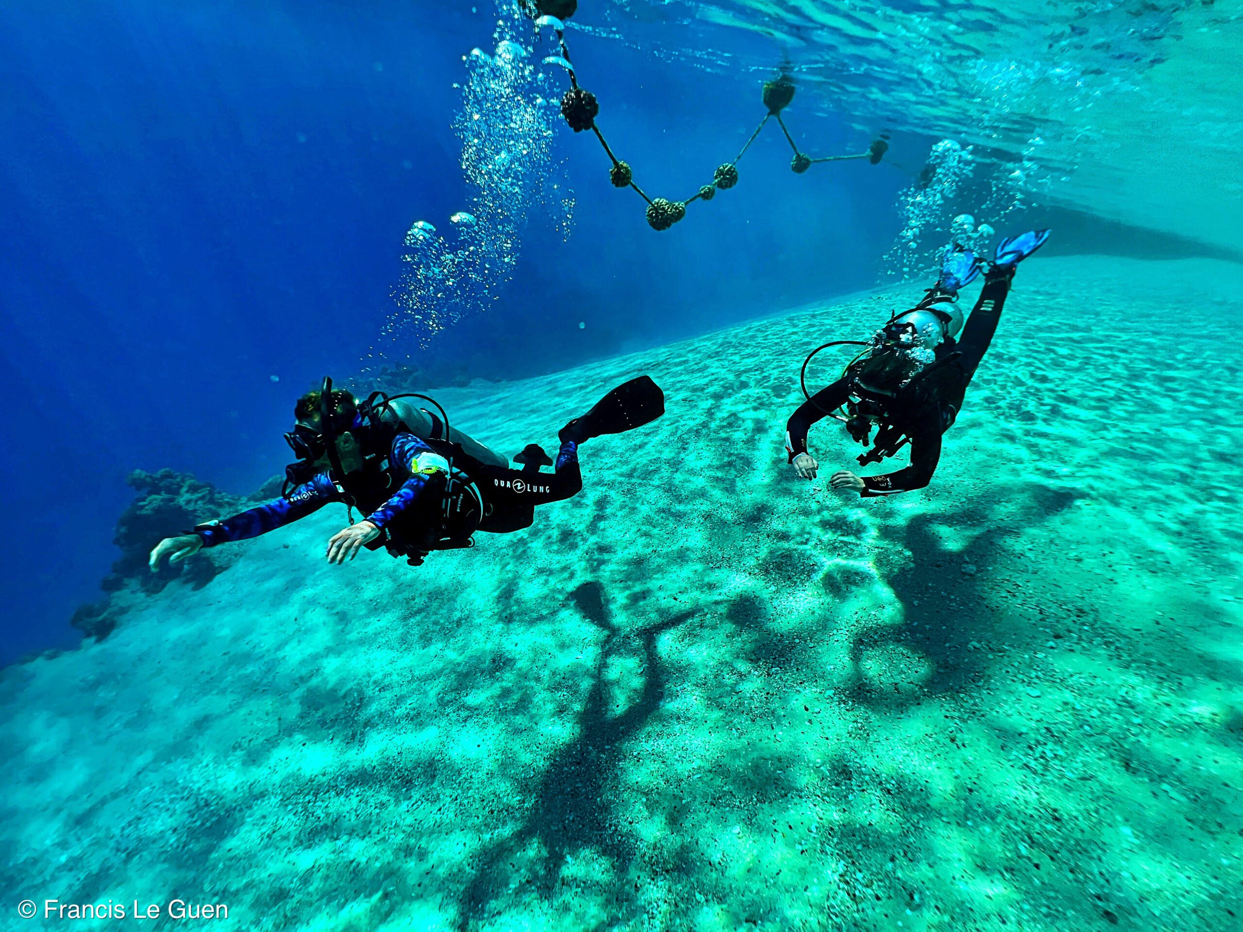 Wonderful Dive : nouveau centre de plongée francophone à Port Ghalib en Egypte - Egypte - image, création, netteté
