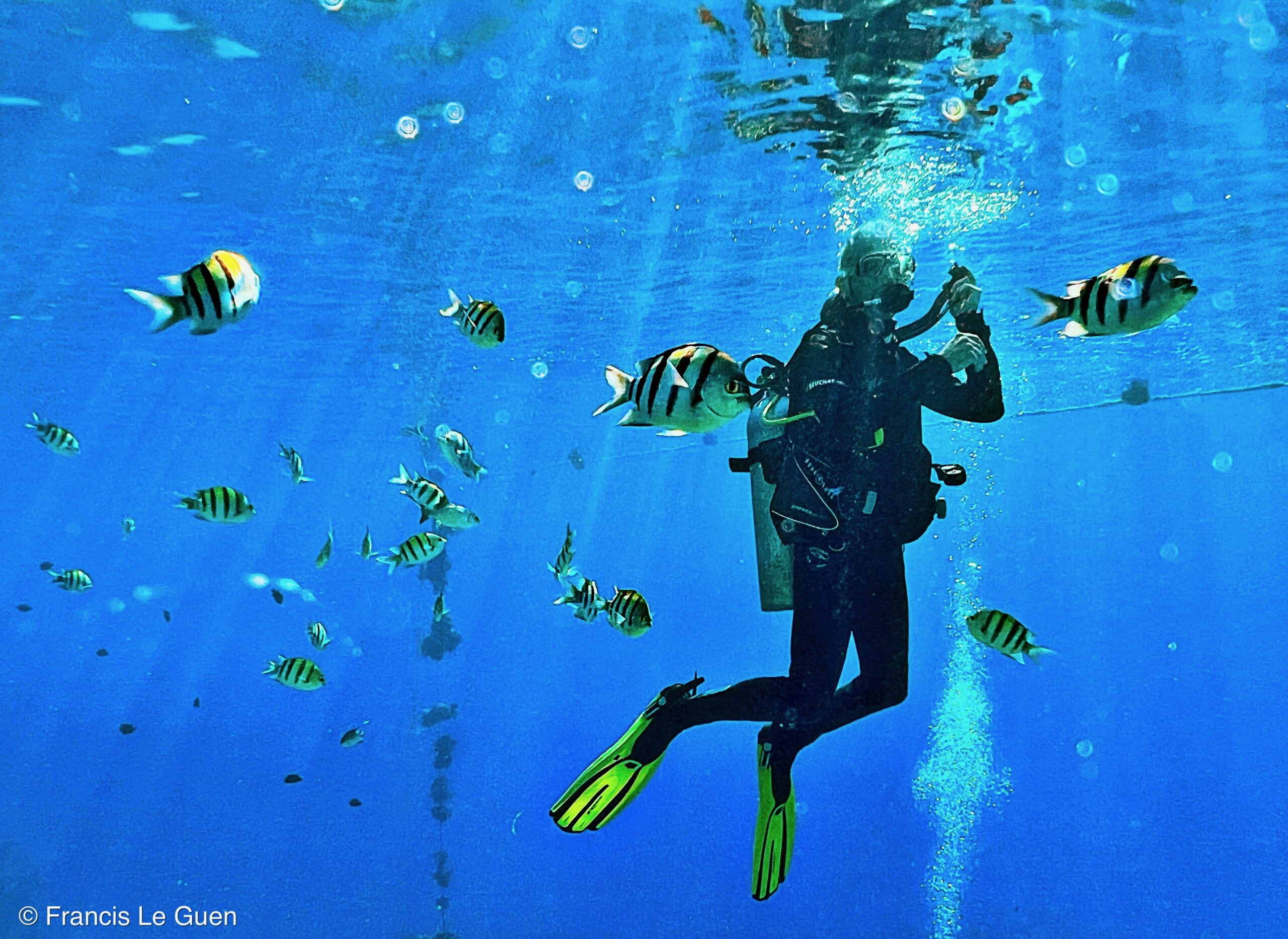 Wonderful Dive : nouveau centre de plongée francophone à Port Ghalib en Egypte - Egypte - image, création, netteté