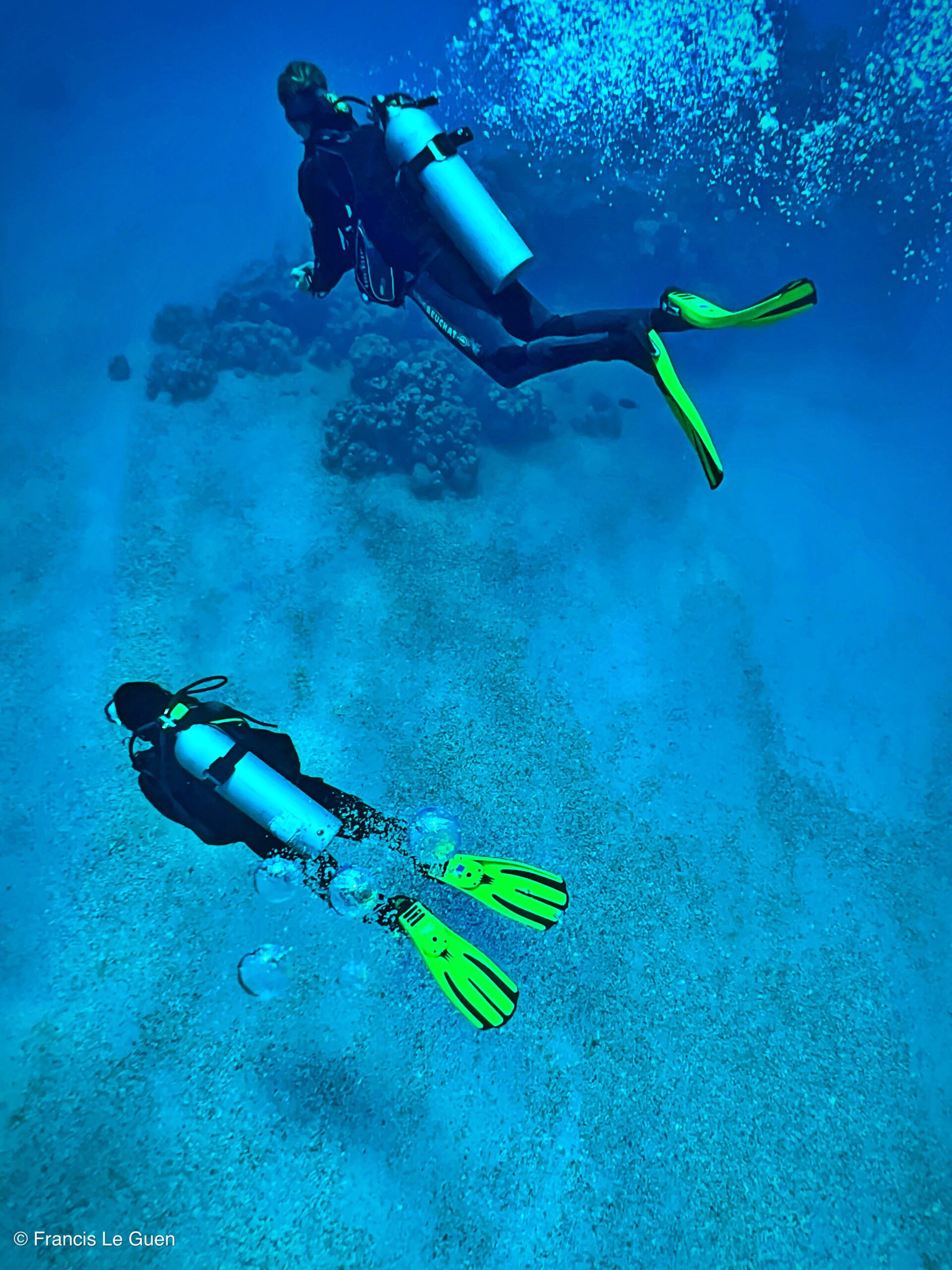 Wonderful Dive : nouveau centre de plongée francophone à Port Ghalib en Egypte - Egypte - image, création, netteté