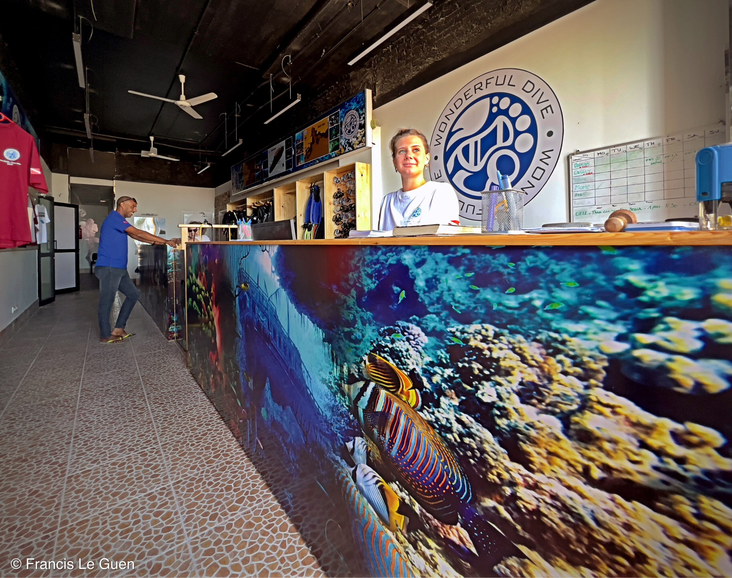 Wonderful Dive : nouveau centre de plongée francophone à Port Ghalib en Egypte - Egypte - image, création, netteté