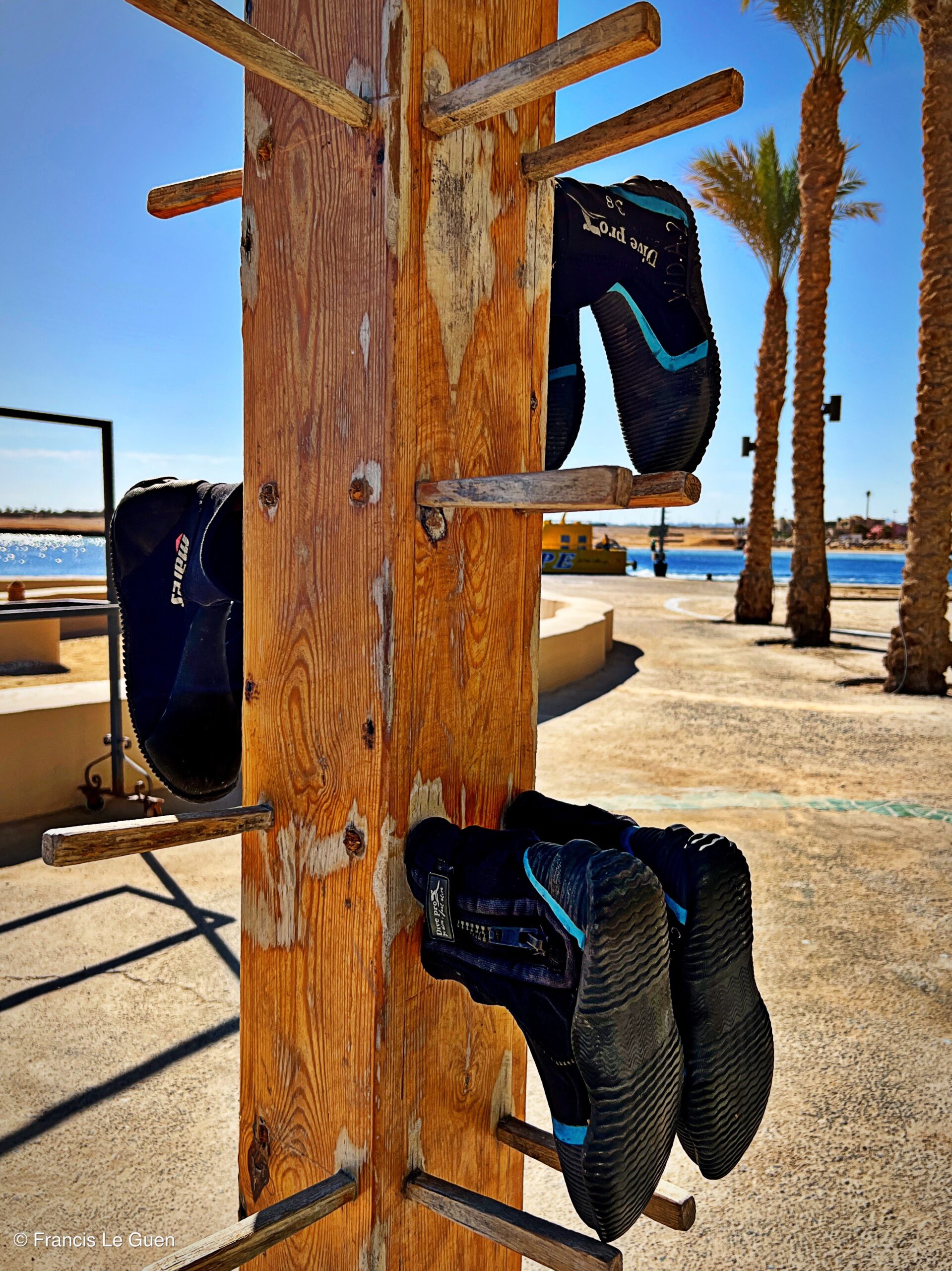 Wonderful Dive : nouveau centre de plongée francophone à Port Ghalib en Egypte - Egypte - image, création, netteté