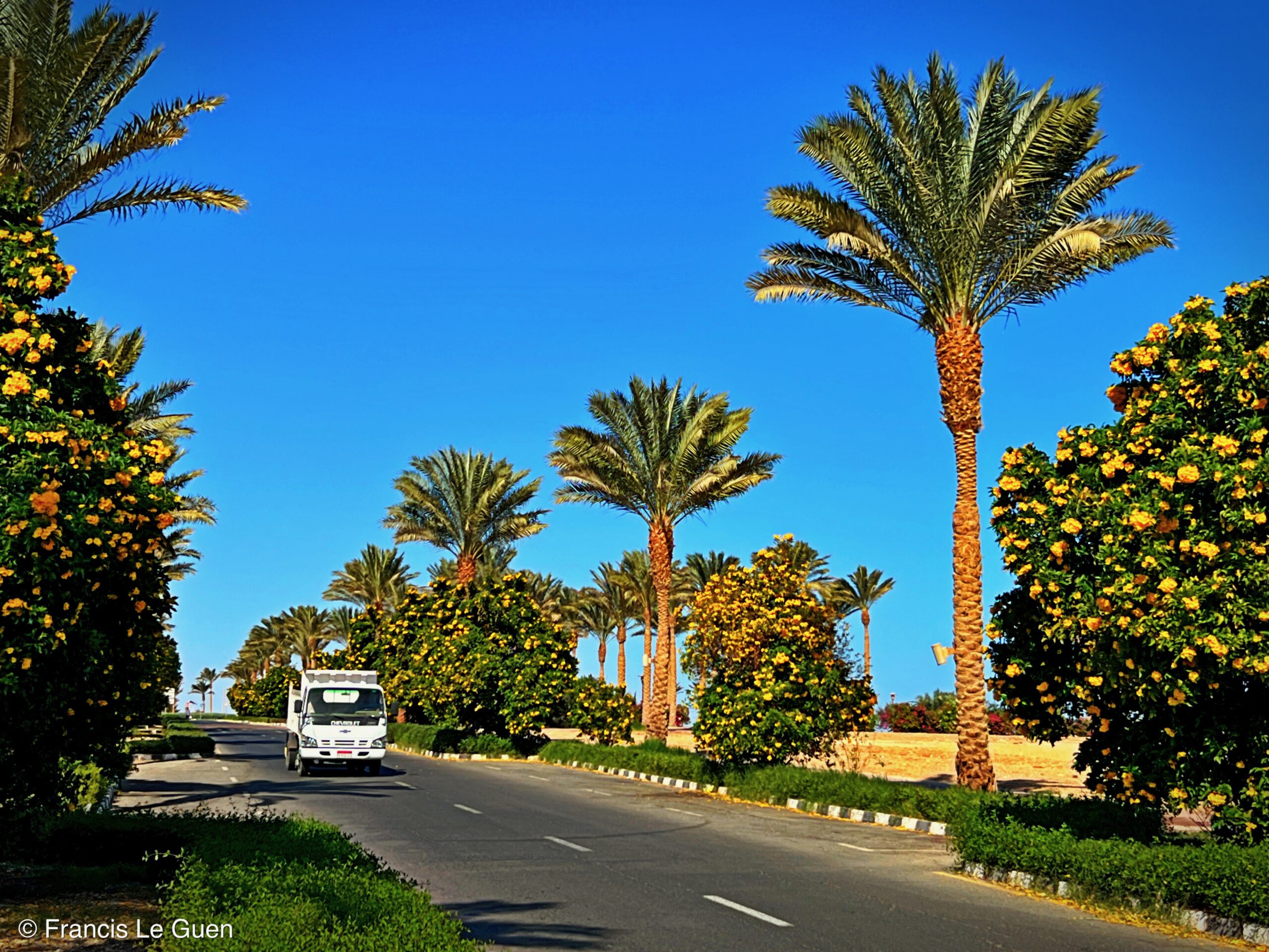 Wonderful Dive : nouveau centre de plongée francophone à Port Ghalib en Egypte - Egypte - image, création, netteté