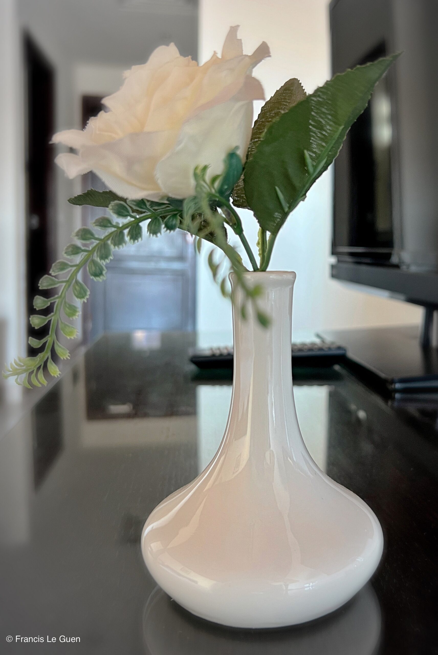 Wonderful Dive : Les plongées au Rohanou à El Qseir en Egypte - Egypte - image, détail, perspective