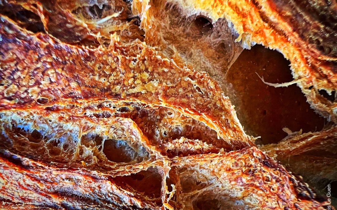 Le fournil d&rsquo;Emile – Boulangerie