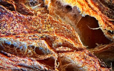 Le fournil d&rsquo;Emile – Boulangerie