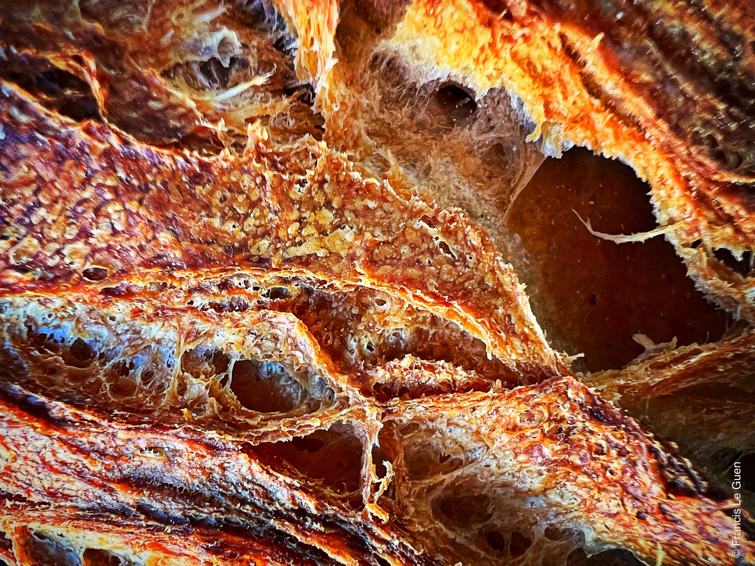 Le fournil d'Emile - Boulangerie - Marseille - ville, urban, port