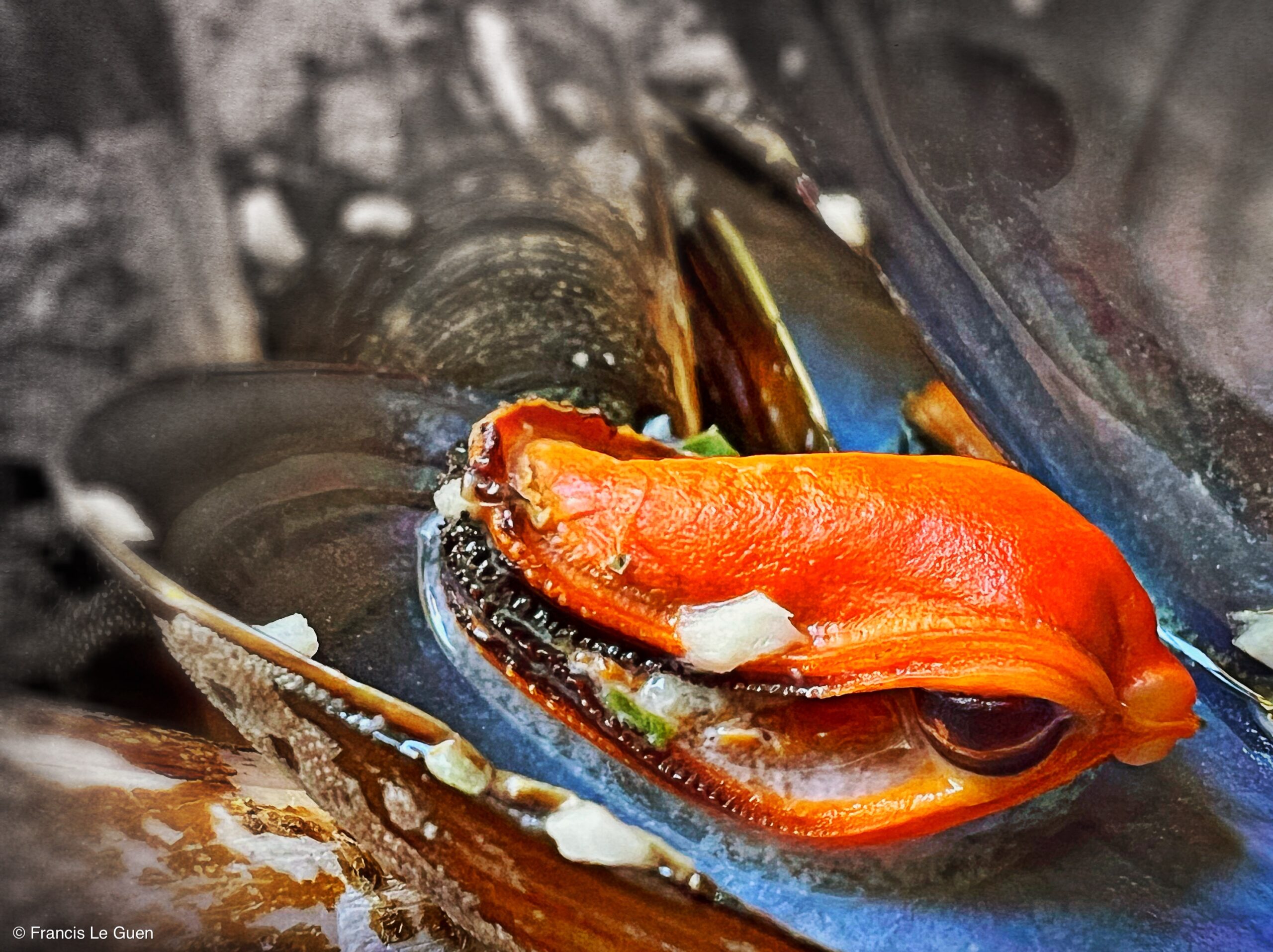 L'assiette orientale - Couscous - Marseille - Marseille, bouillabaisse, corniche