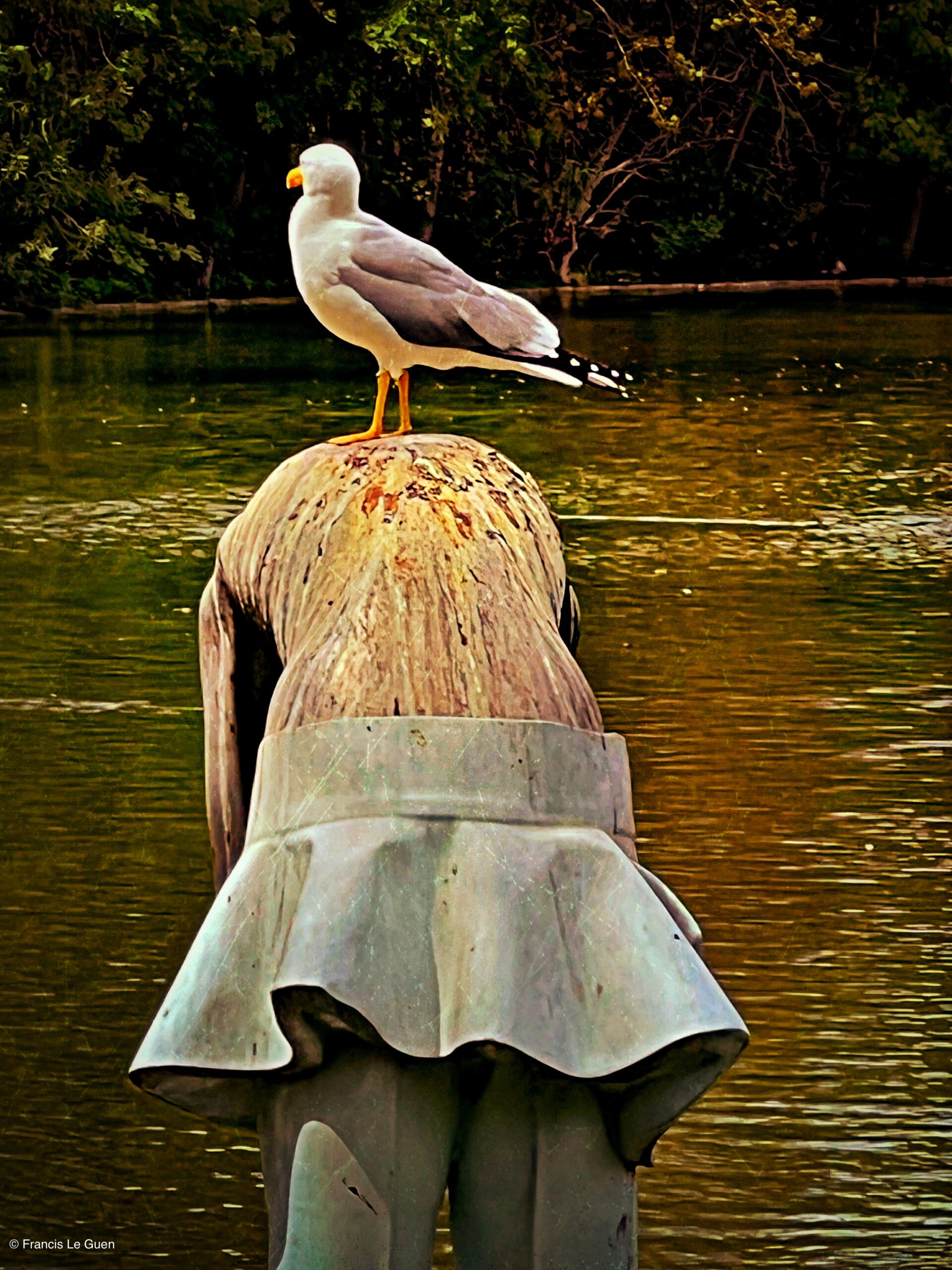 Parc Borely - Marseille - Marseille - ville, urban, sud