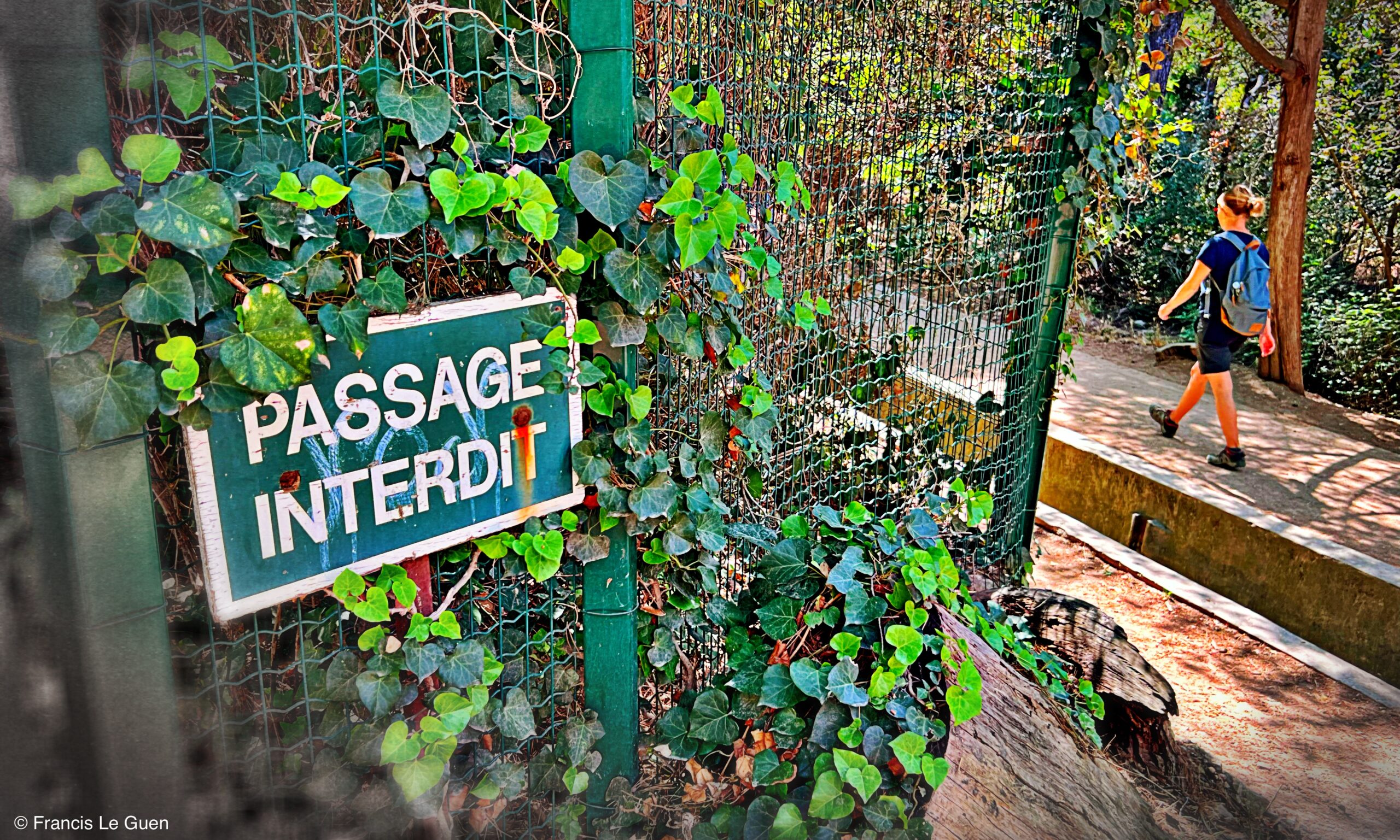 Campagne Pastré - Marseille - Marseille - sud, Méditerranée, panier
