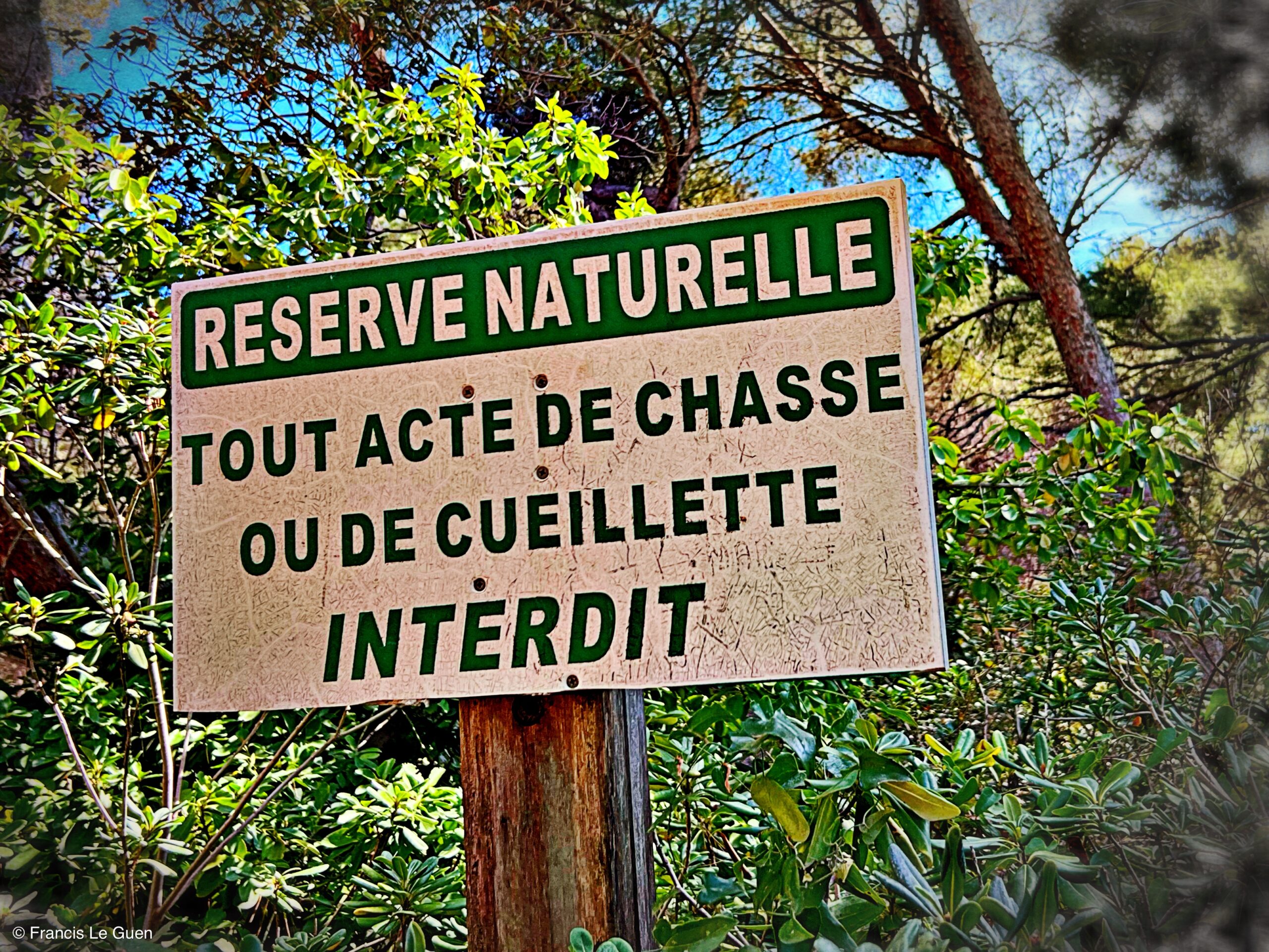 Campagne Pastré - Marseille - Marseille - sud, Méditerranée, panier