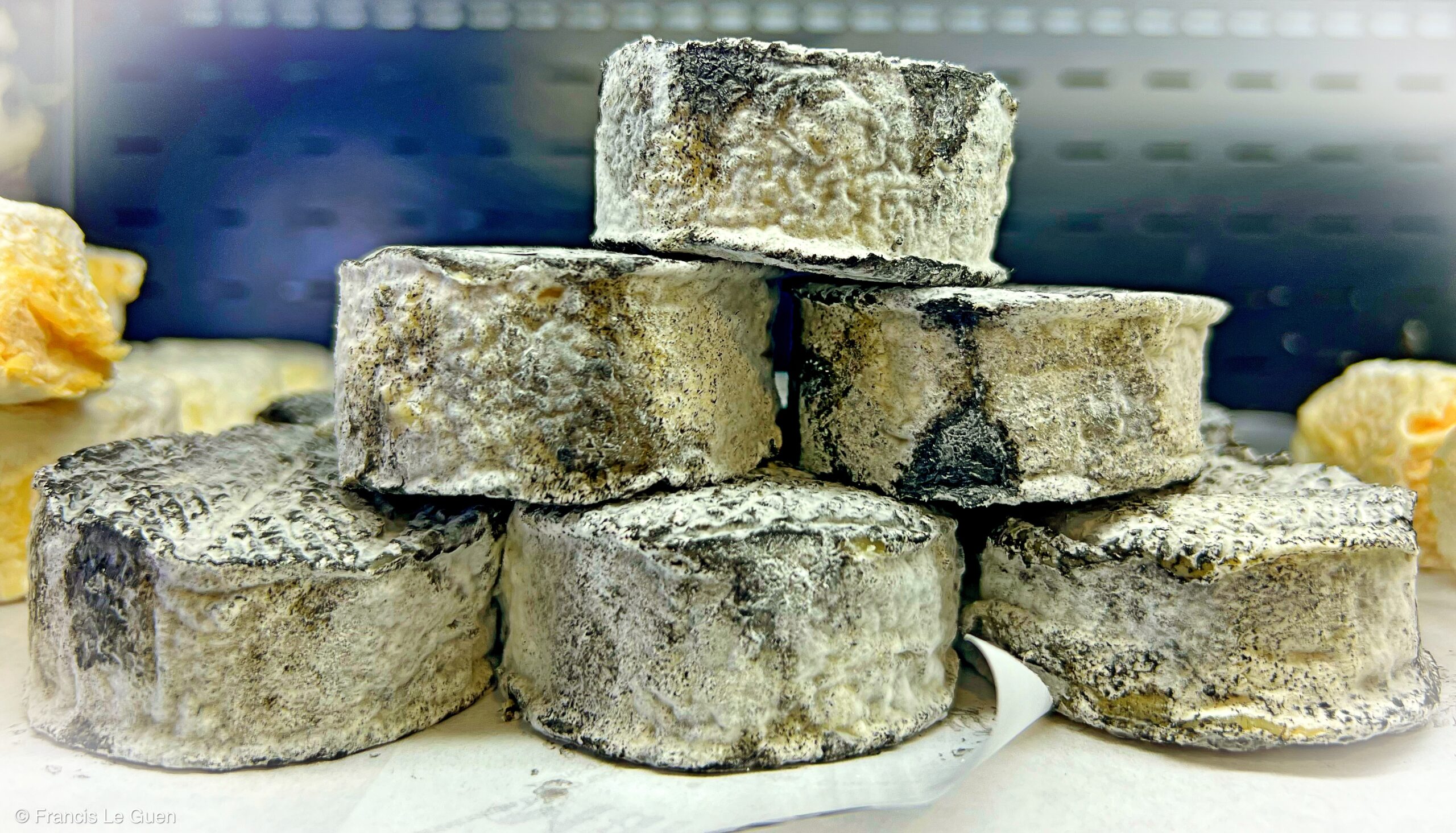 La maison Marin - Fromagerie - Marseille - ville, sud, corniche
