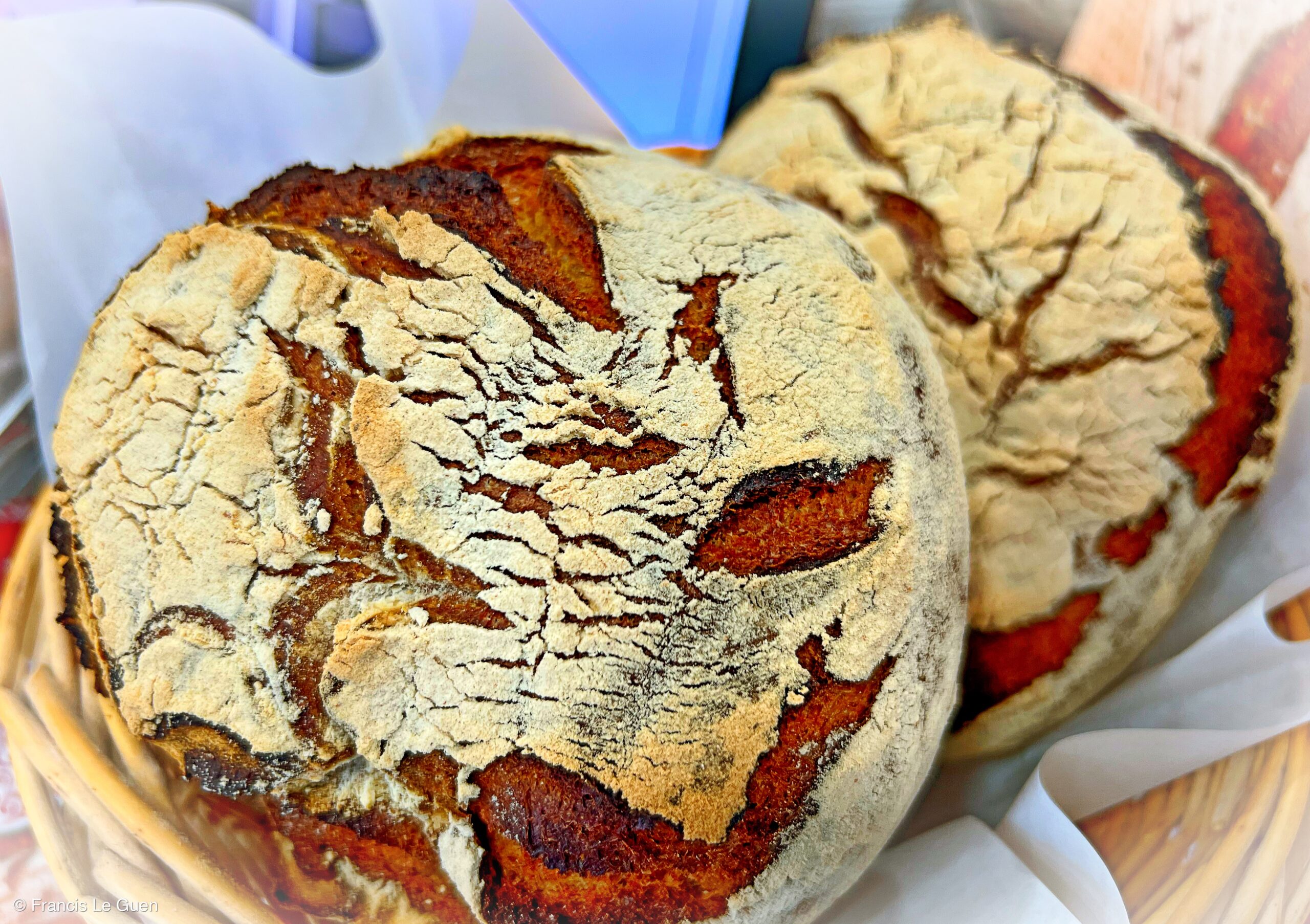 Le fournil d'Emile - Boulangerie - Marseille - ville, urban, port