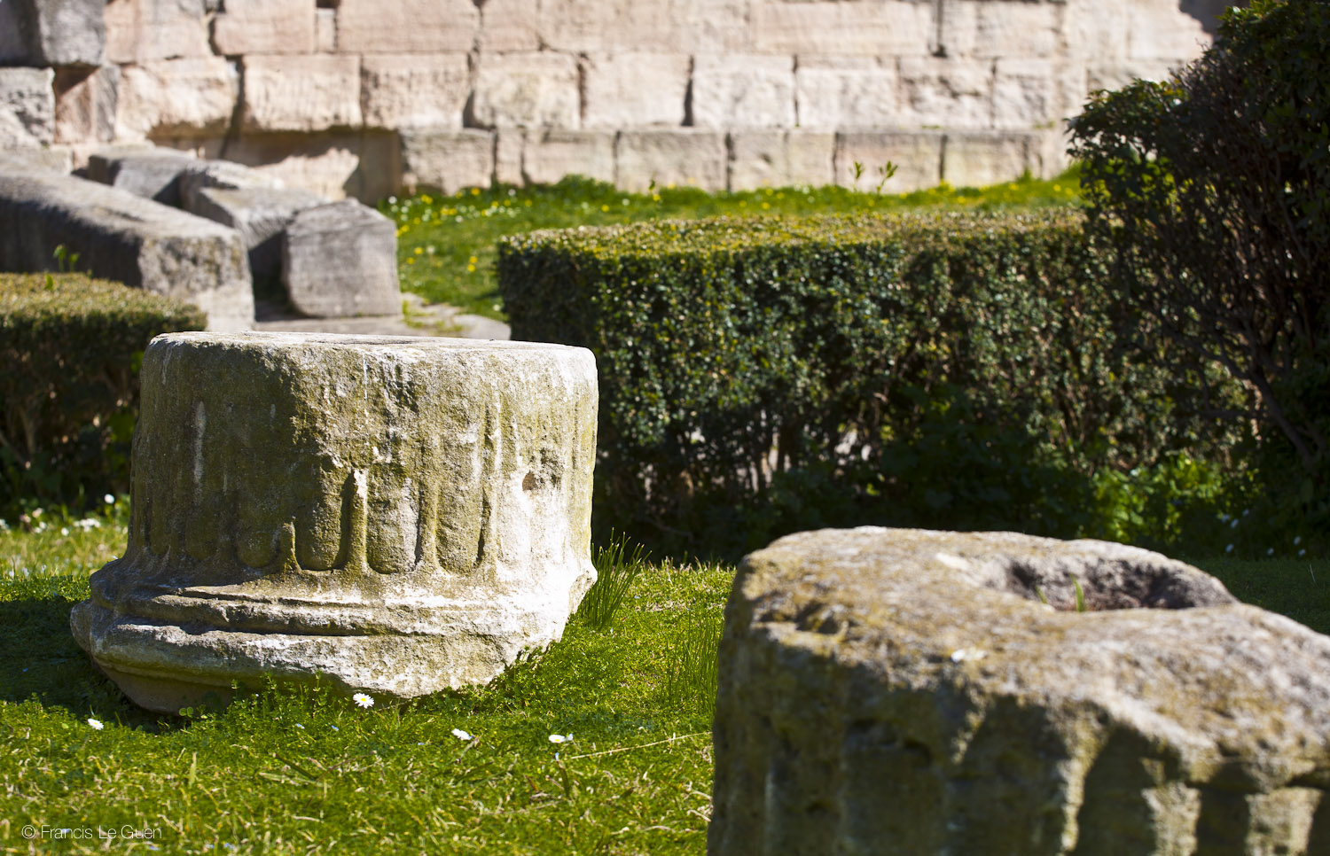 Jardin des vestiges - Marseille - Marseille - ville, port, Prado