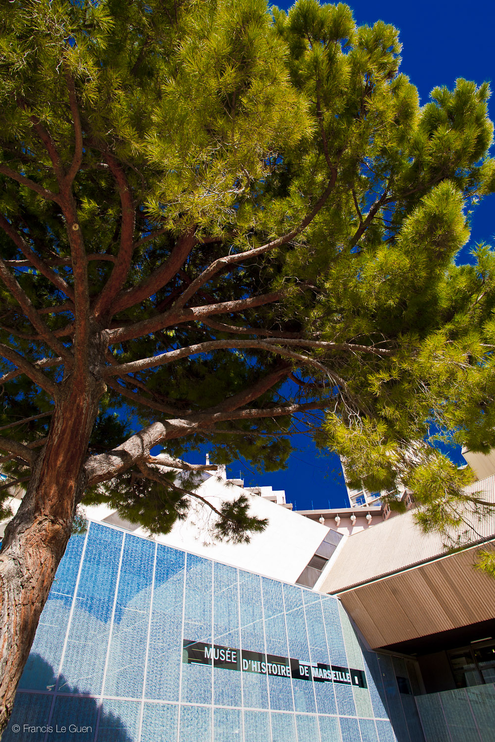 Jardin des vestiges - Marseille - Marseille - ville, port, Prado