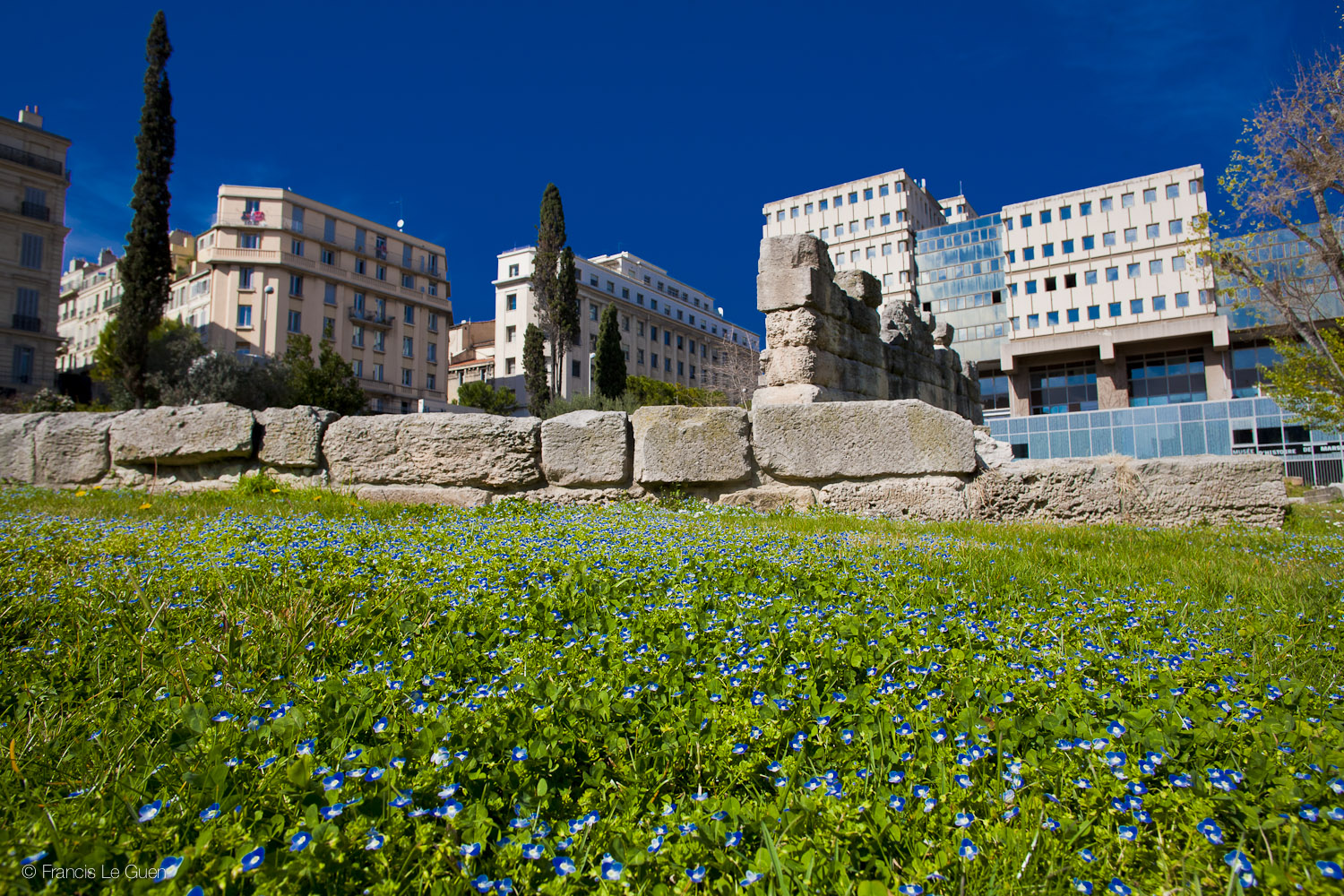 Jardin des vestiges - Marseille - Marseille - ville, port, Prado