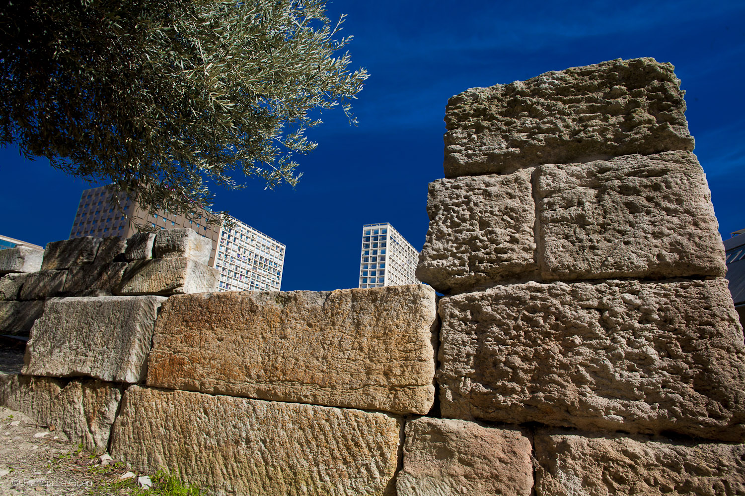 Jardin des vestiges - Marseille - Marseille - ville, port, Prado