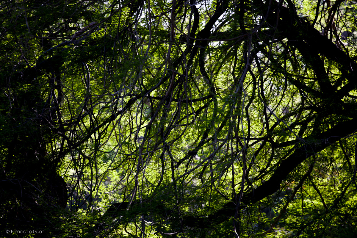 Parc Borely - Marseille - Marseille - ville, urban, sud