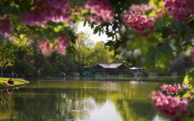 Parc Borely – Marseille
