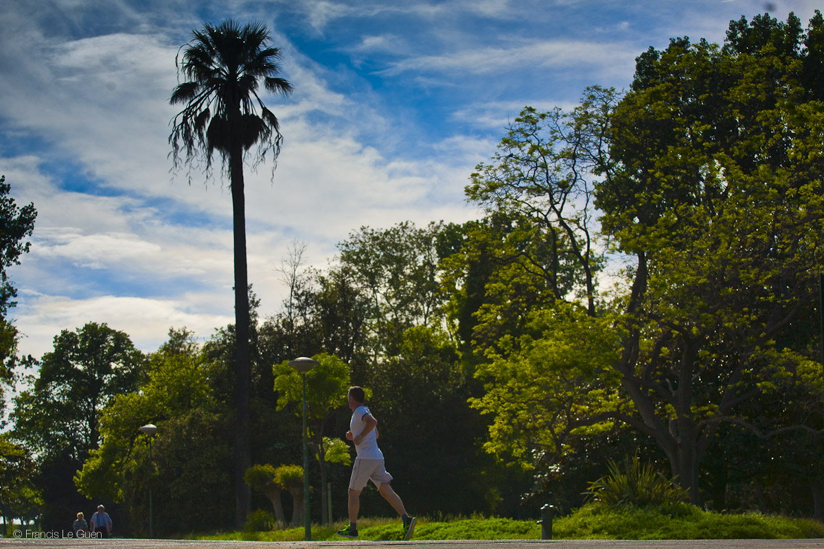 Parc Borely - Marseille - Marseille - ville, urban, sud
