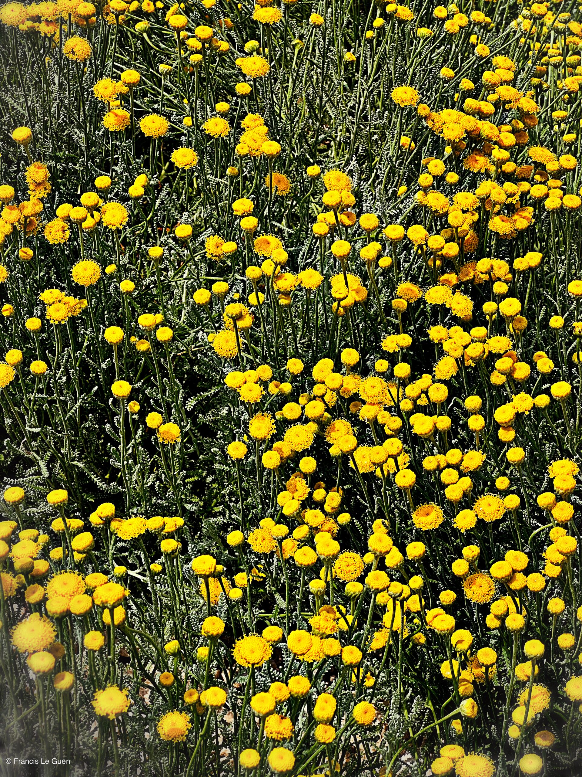 Jardin Lamy - Marseille - Marseille - ville, corniche, panier