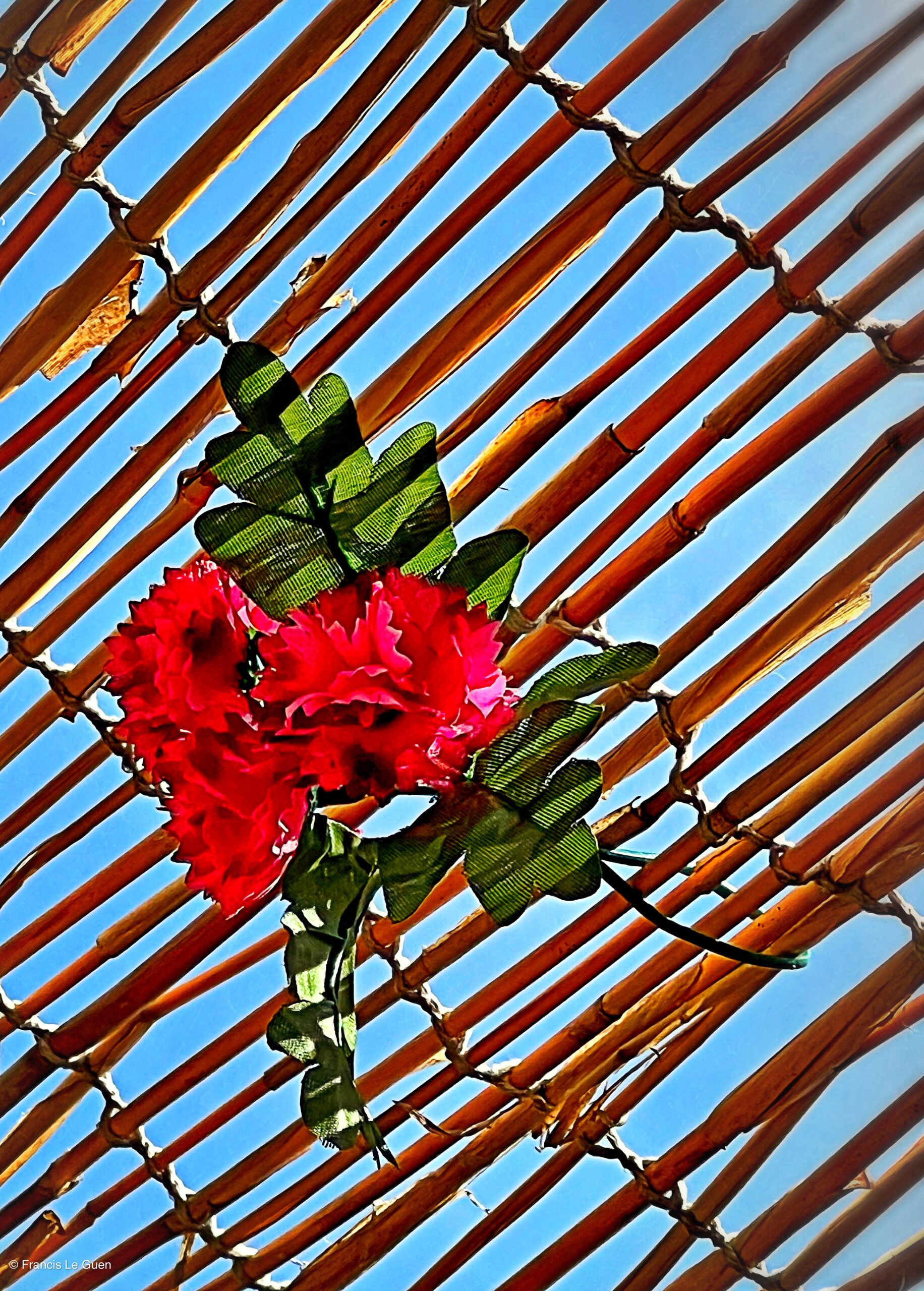 Jardin K'ché - Marseille - Marseille - architecture, Vieux-Port, panier