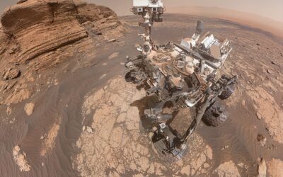 France-désinfo : des fossiles découverts sur Mars ?