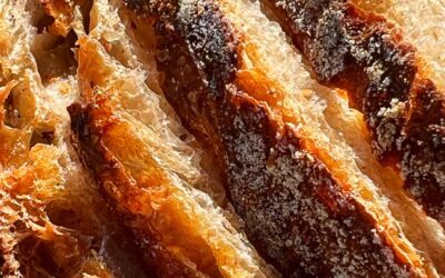 Boulangerie Hat&rsquo;s – Marseille
