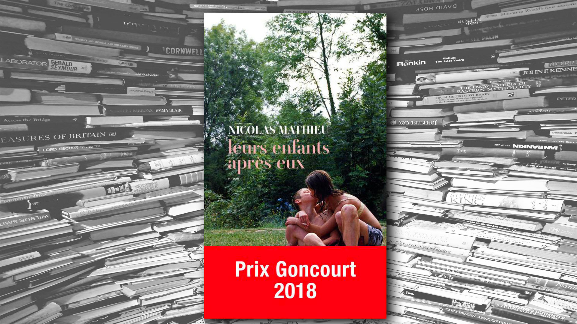 Leurs enfants après eux - Nicolas Mathieu - Livres - pages, bibliothèque, connaissance