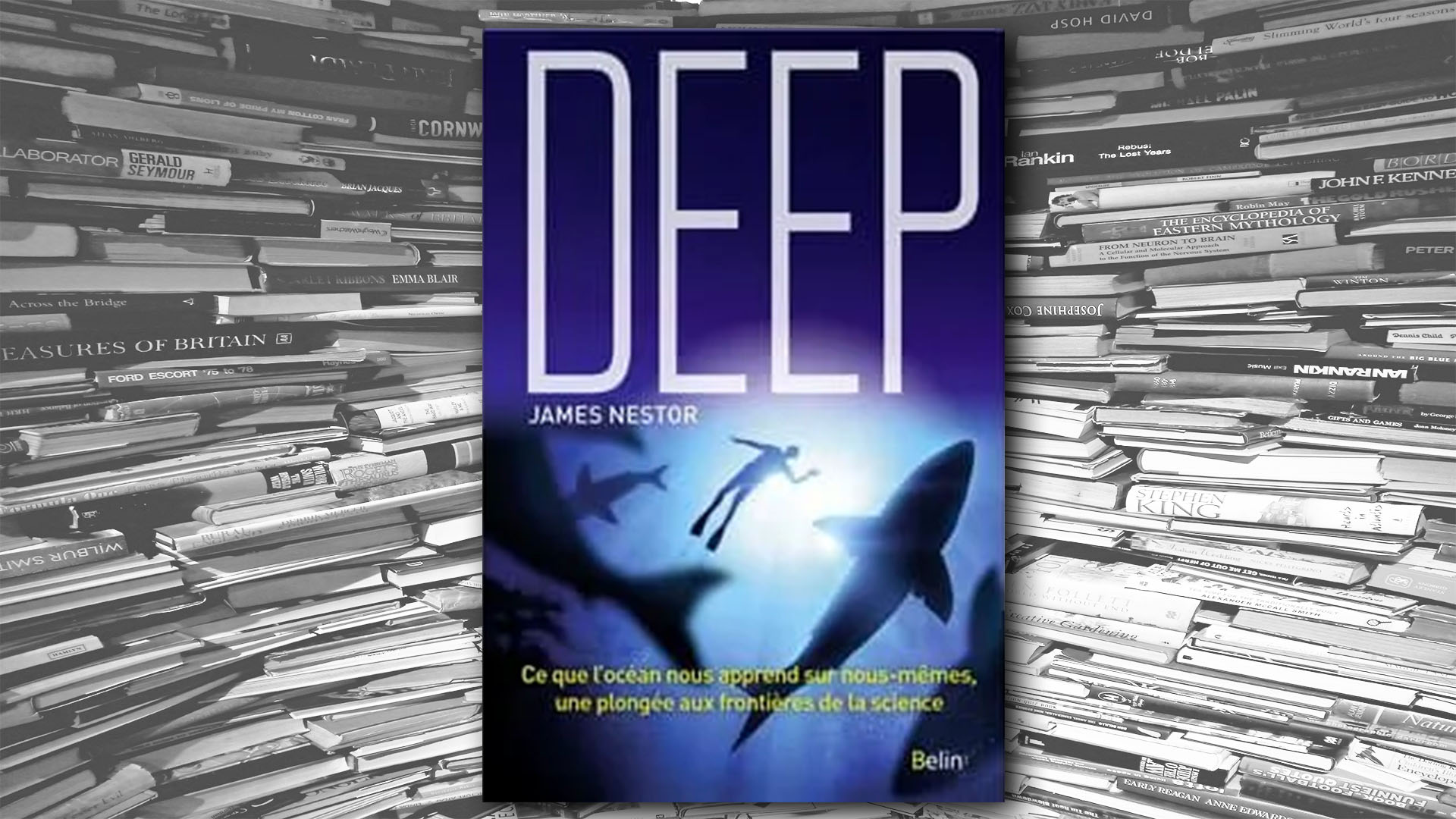 Deep - James Nestor - Livres - bibliothèque, papier, imagination