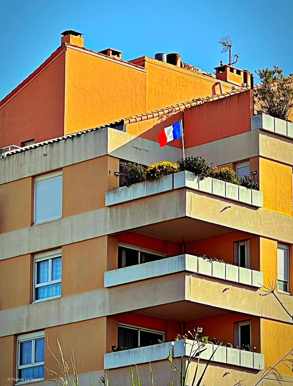 Choses vues - Février 2024 - Choses vues - observation, découverte, surprise