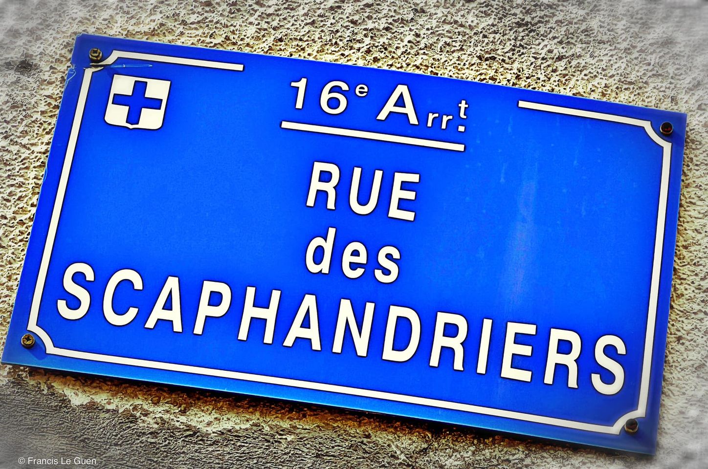 Choses vues - Février 2024 - Choses vues - observation, découverte, surprise