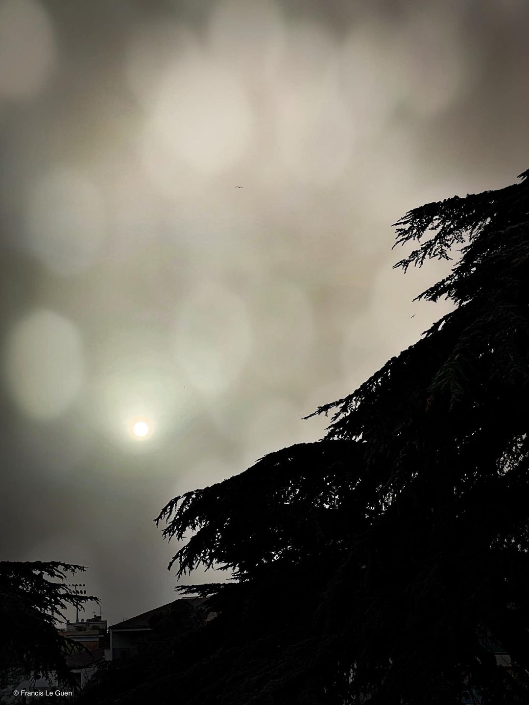 Choses vues par les rues et les côtes... Mars 2024 - Choses vues - observation, hasard, regard