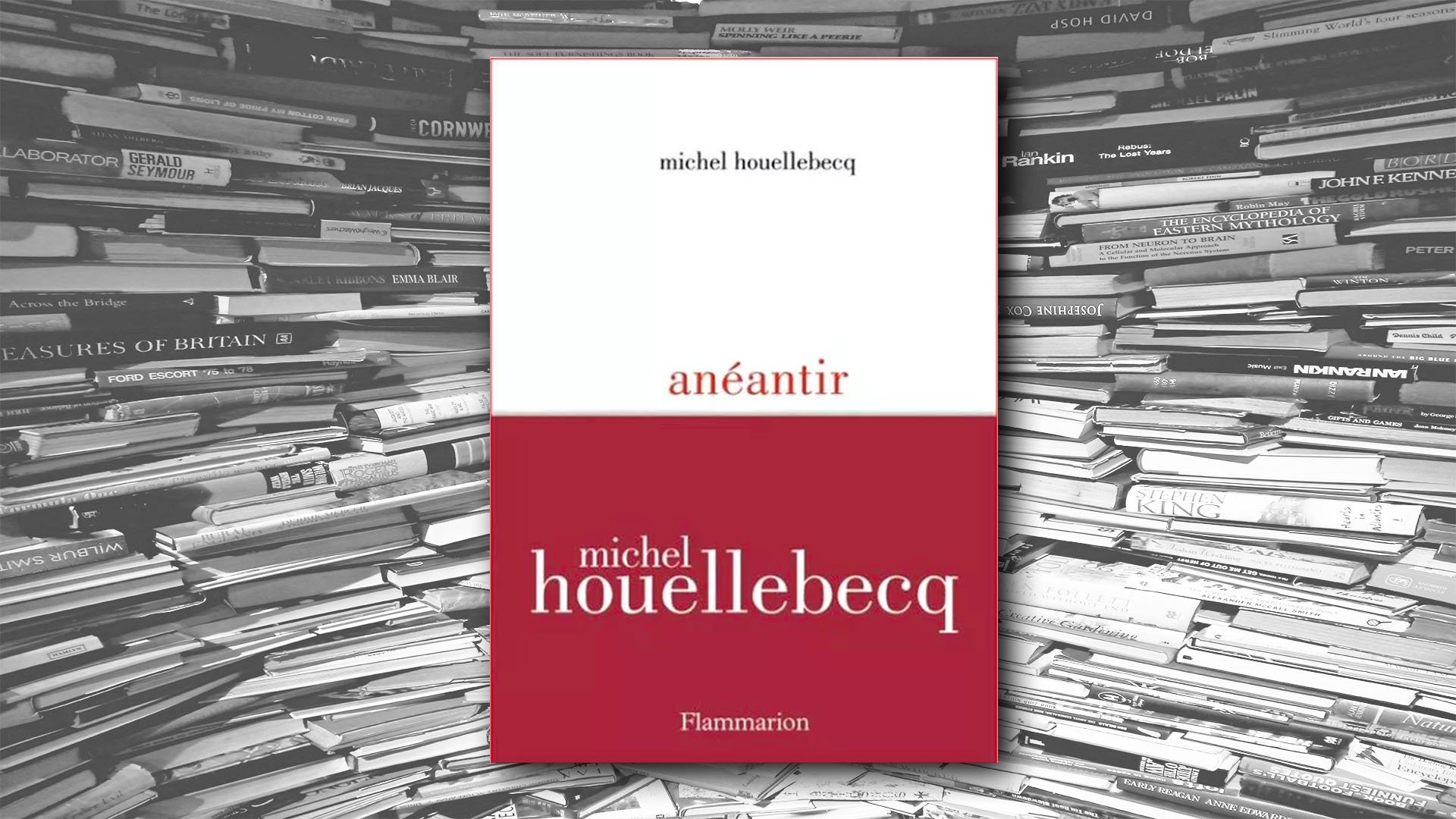 Anéantir - Michel Houellebeck - Livres - lecture, livre, imagination