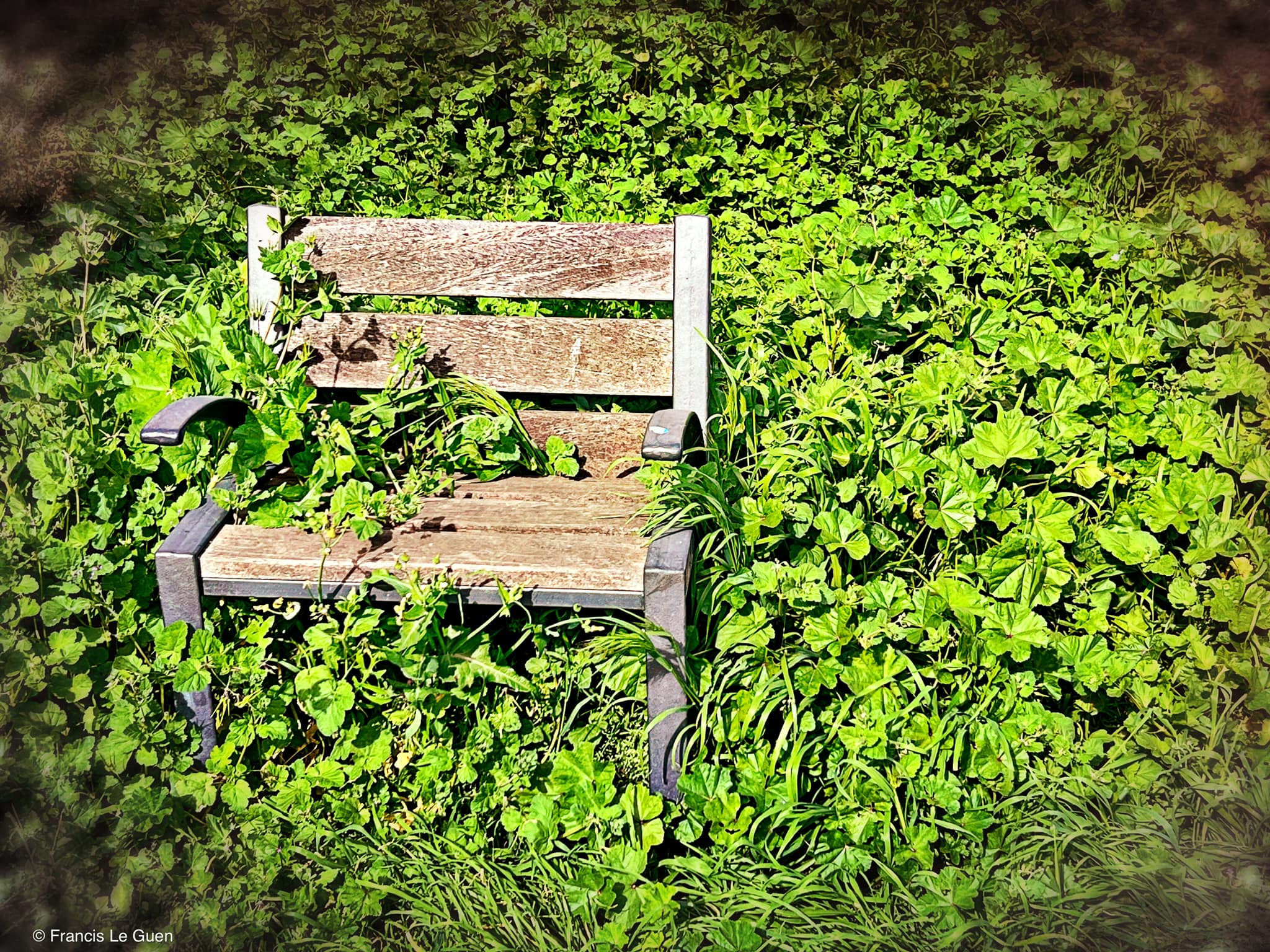 Choses vues. Avril 2024 - Choses vues - observation, hasard, beauté
