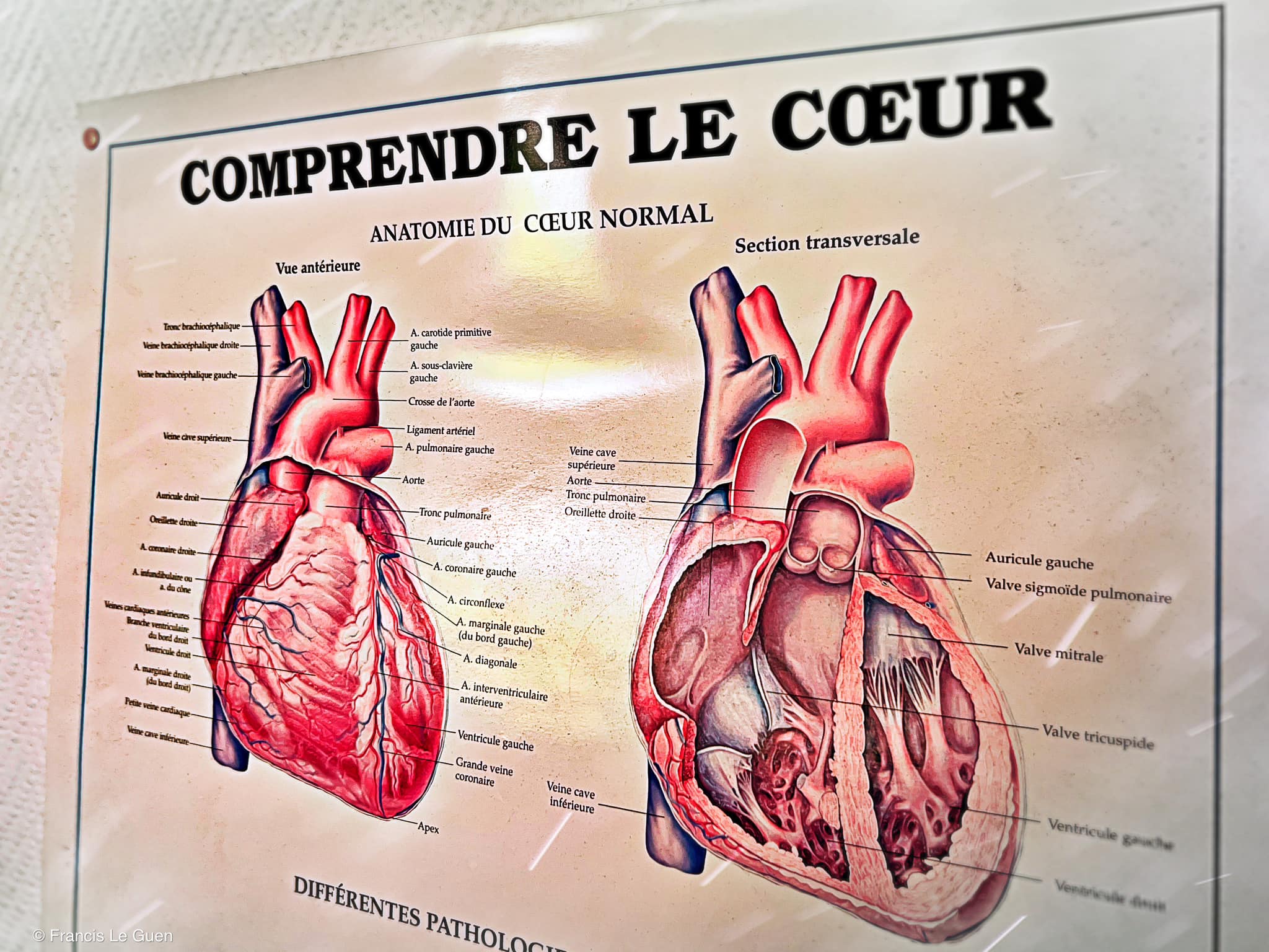 Choses vues. Juin 2024 - Choses vues - quotidien, hasard, découverte