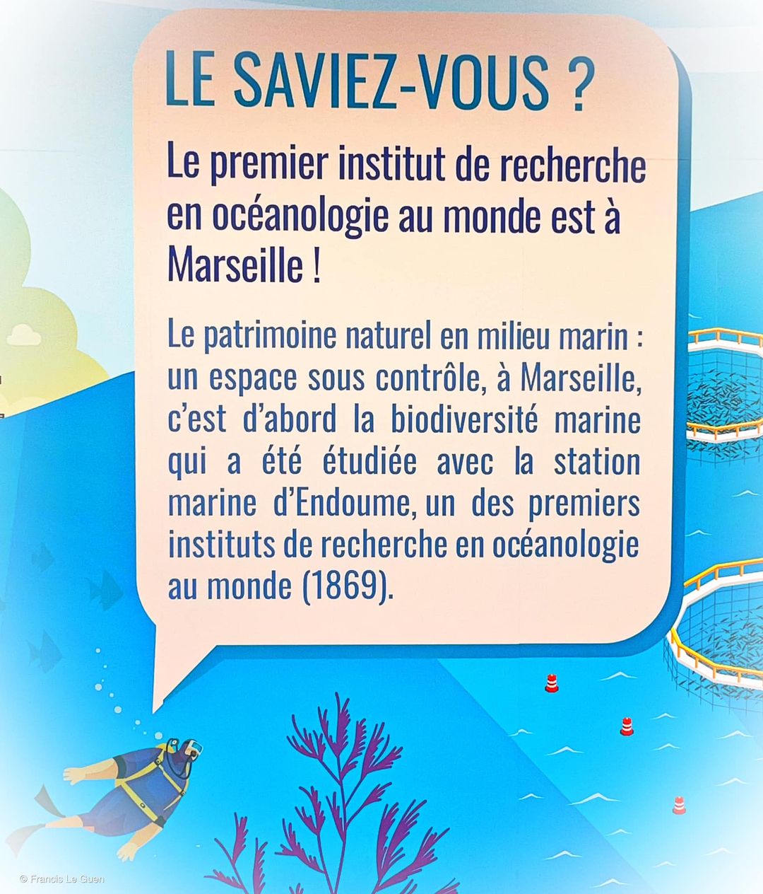 Choses vues. Octobre 2024 - Choses vues - quotidien, observation, banalité