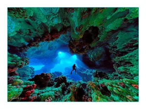 La grotte à corail – A l'intérieur du récif, des tunnels secrets fleuris de corail... J'ai plongé dans de sembl...