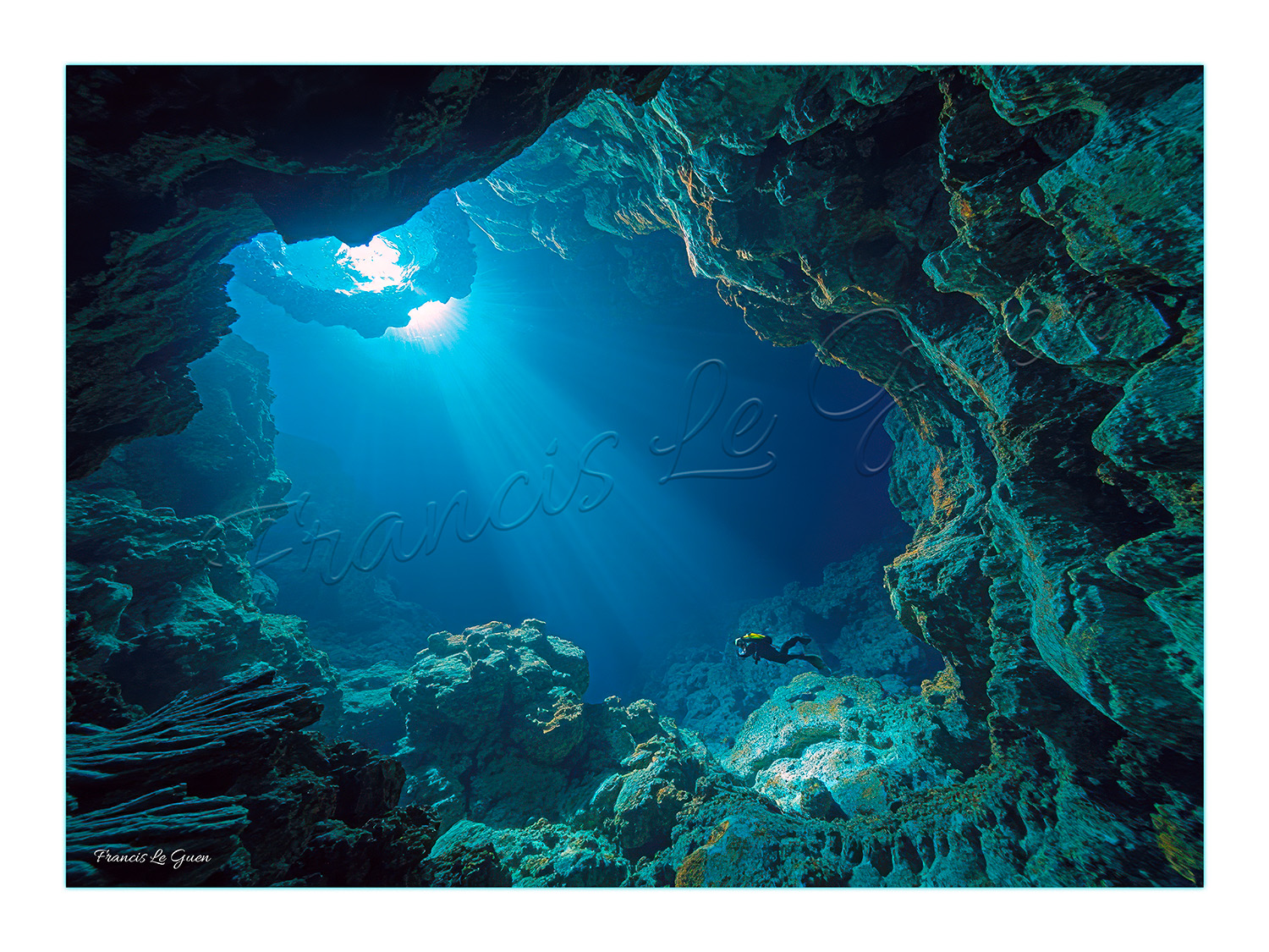 Choses vues. Décembre 2024 - Choses vues - hasard, découverte, réalité
