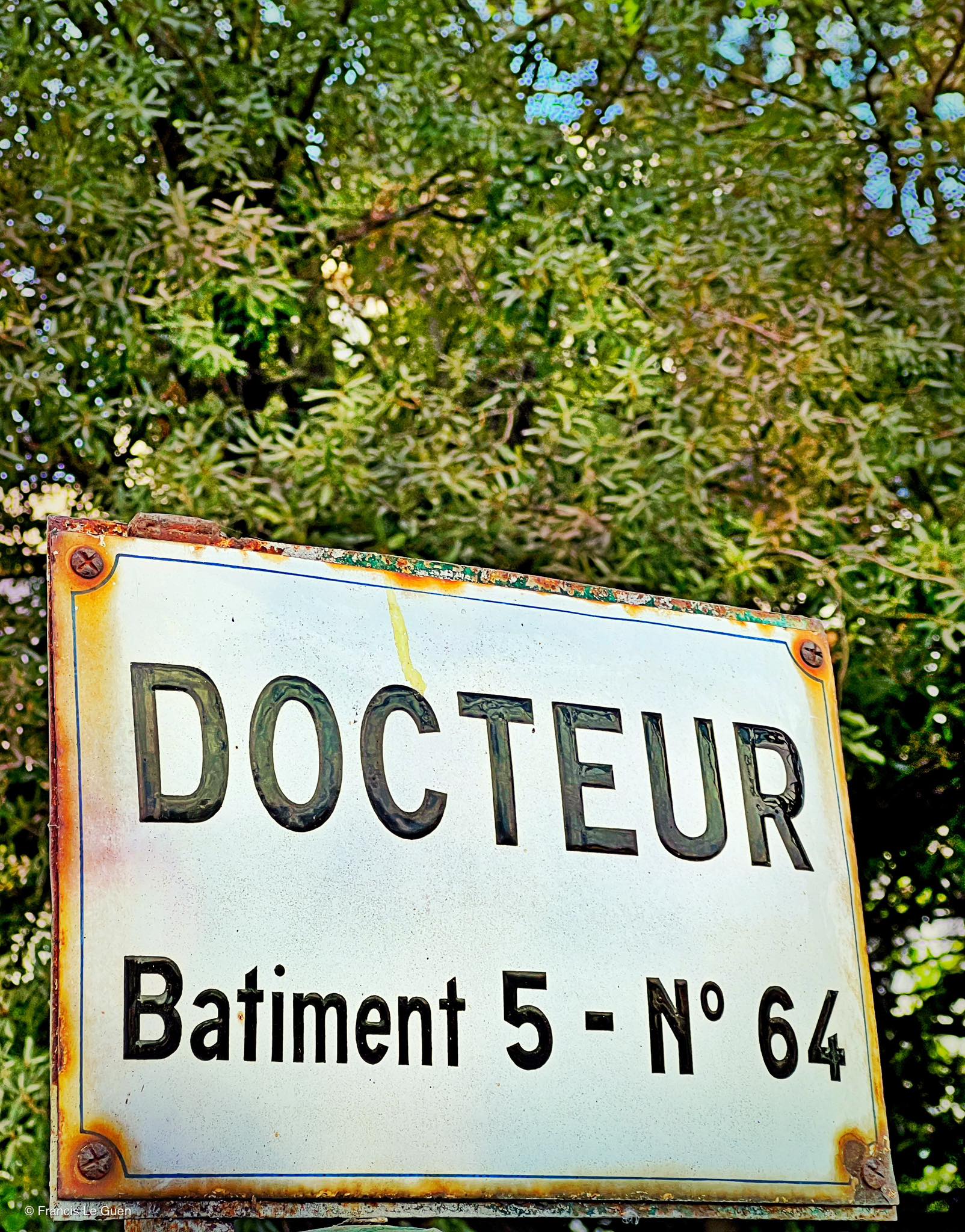 Choses vues. Avril 2025 - Choses vues - quotidien, observation, réalité