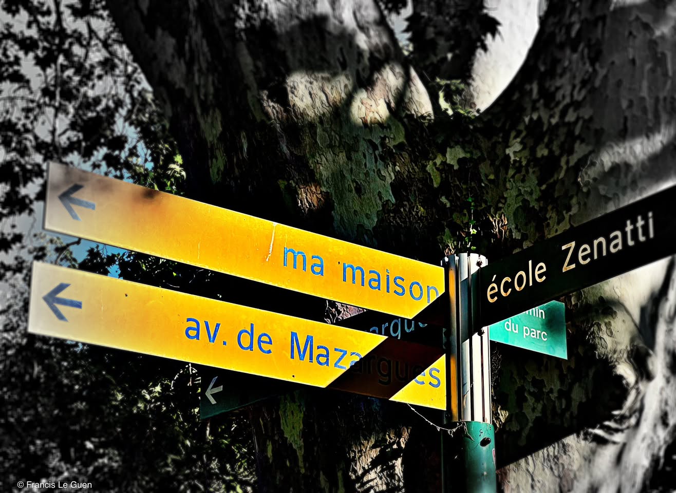 Choses vues. Avril 2025 - Choses vues - quotidien, observation, réalité