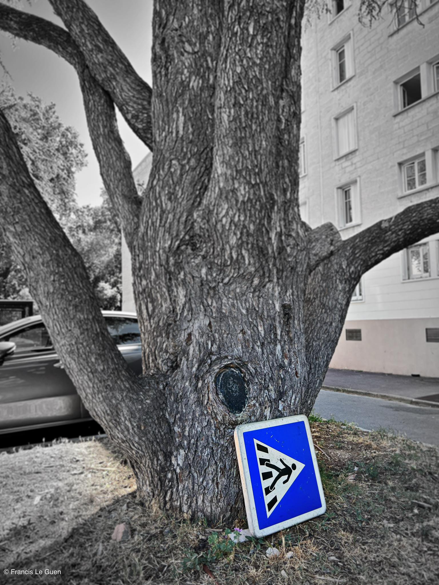 Choses vues. Mai 2025 - Choses vues - hasard, moment, éphémère