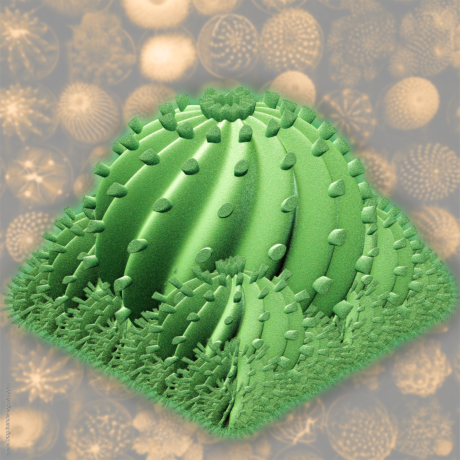 Jwildfire : Des cactus et des choux Romanesco ! - Fractales - mathématiques, répétition, ensemble