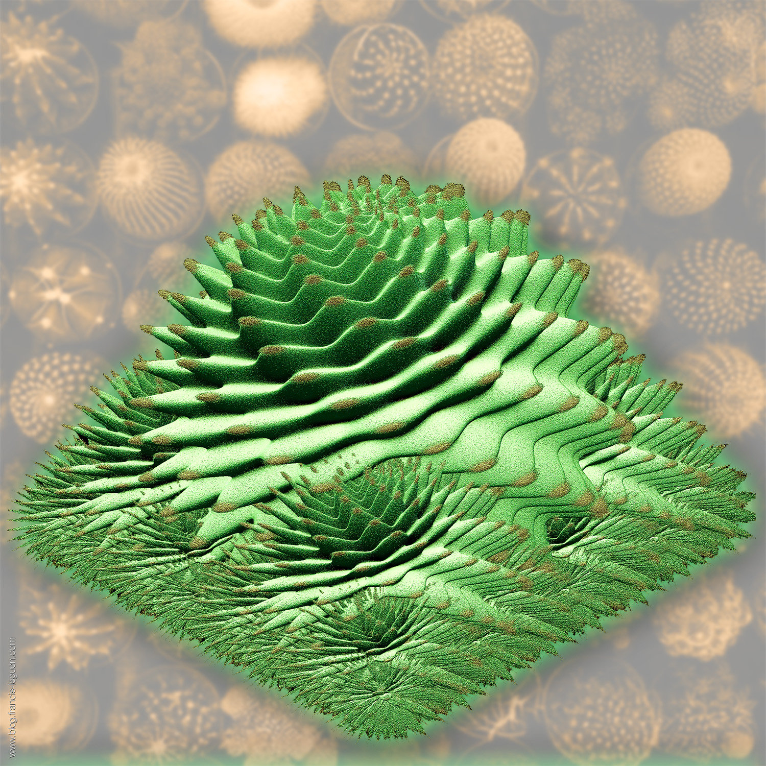 Jwildfire : Des cactus et des choux Romanesco ! - Fractales - mathématiques, répétition, ensemble