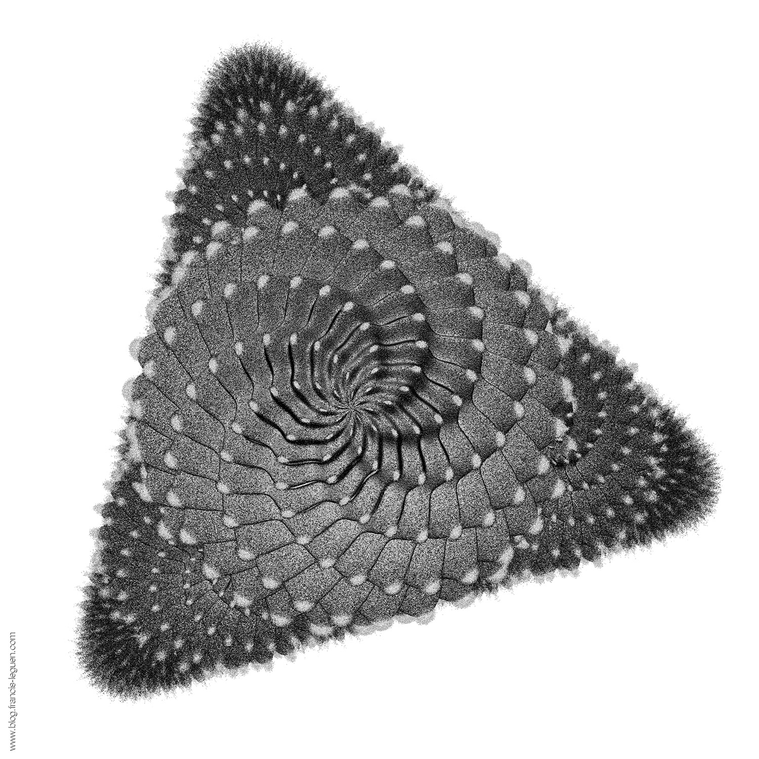 Jwildfire : Des cactus et des choux Romanesco ! - Fractales - mathématiques, répétition, ensemble