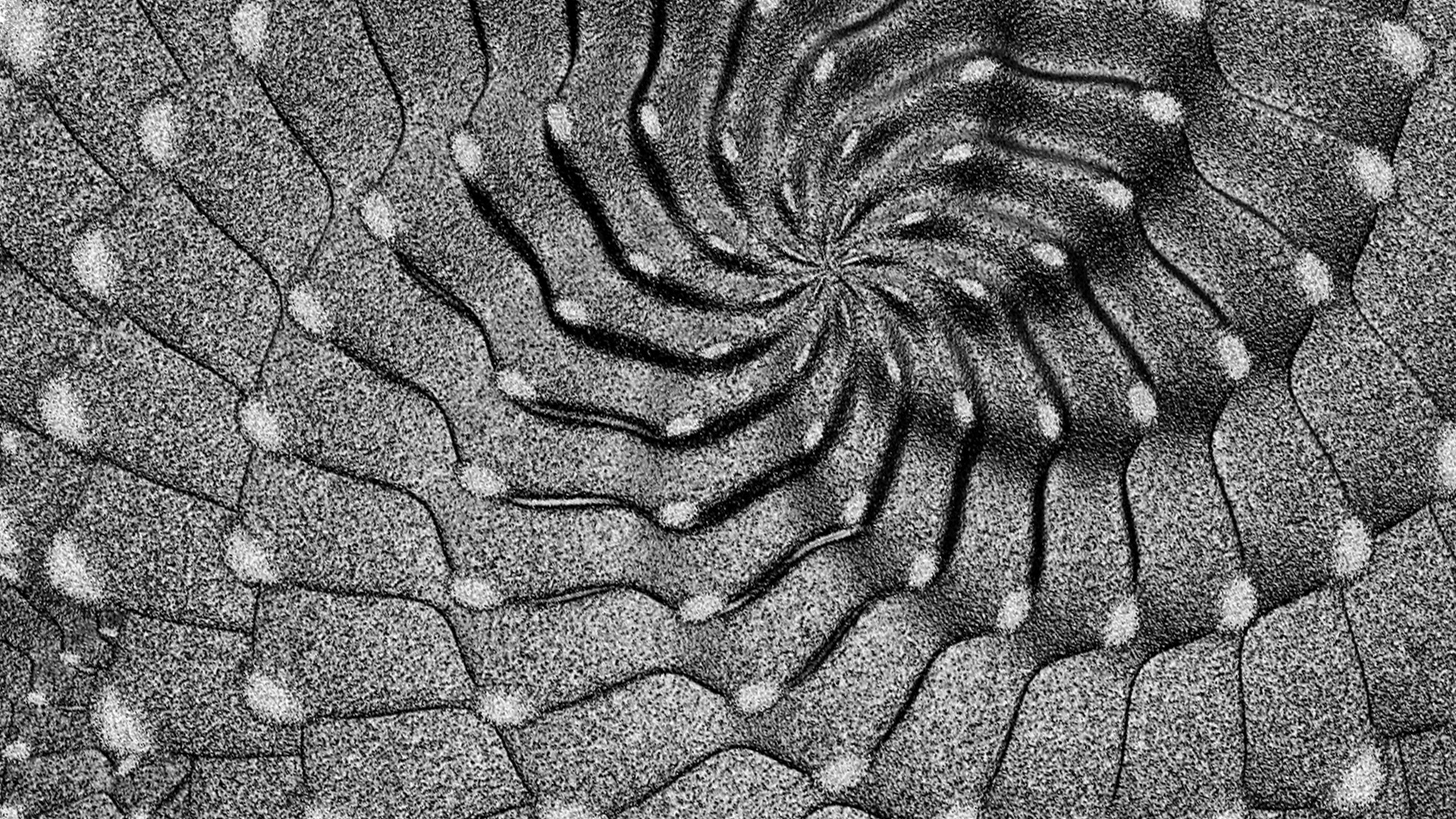 Jwildfire : Des cactus et des choux Romanesco ! - Fractales - mathématiques, répétition, ensemble