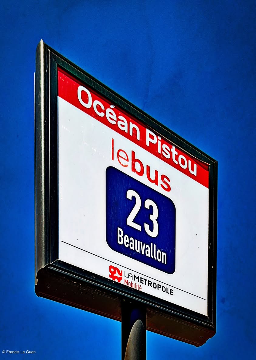 Choses vues. Juillet 2025 - Choses vues - instant, beauté, éphémère