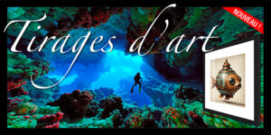 Tirages sur papier