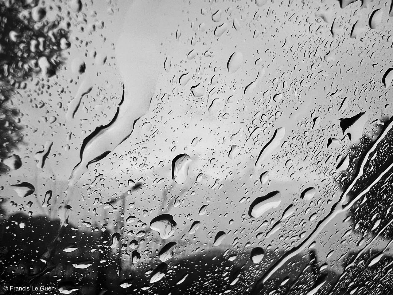 Choses vues : pluie.