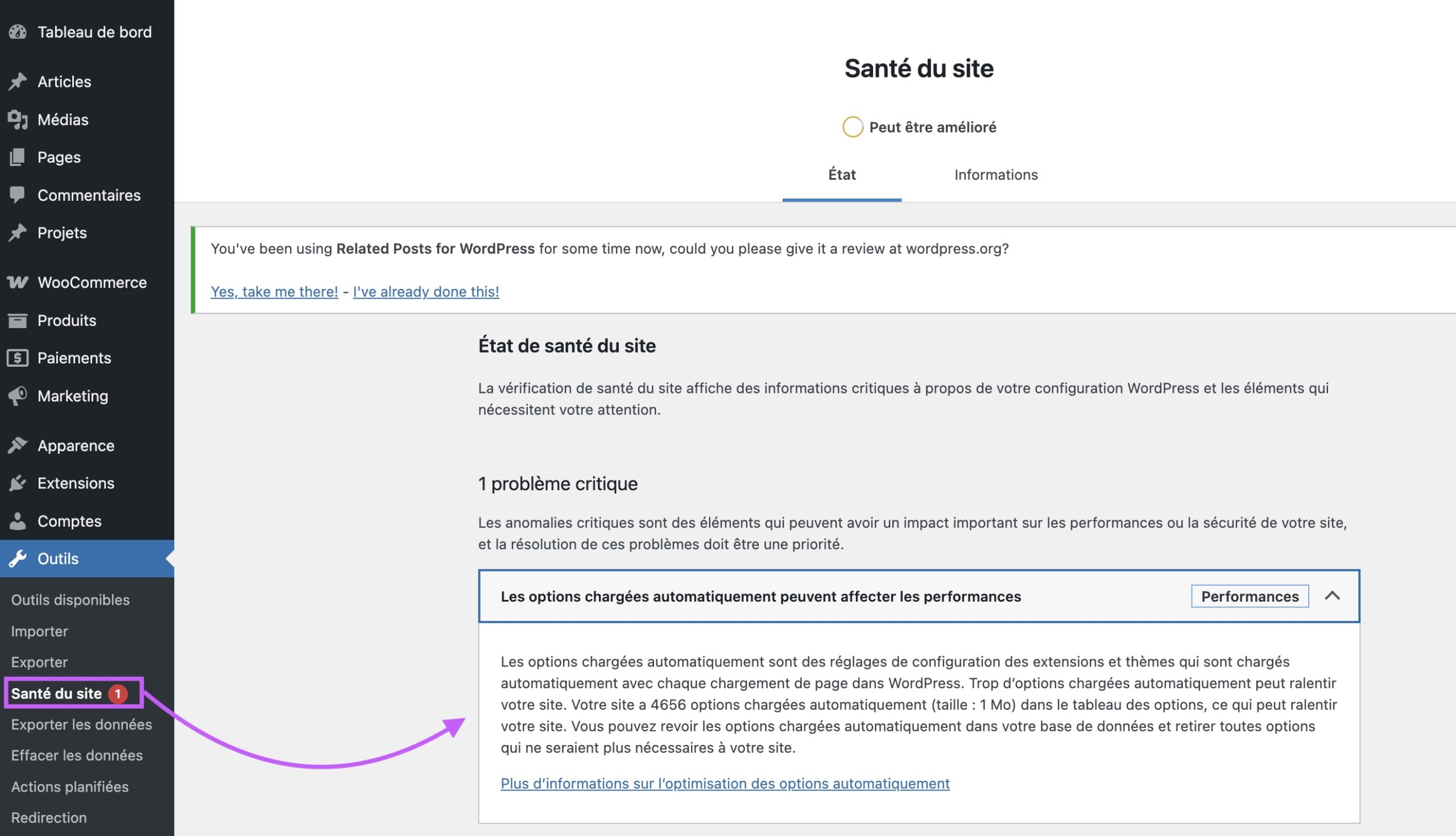 Désinstaller proprement les plugins WordPress : le panneau santé du site WordPress