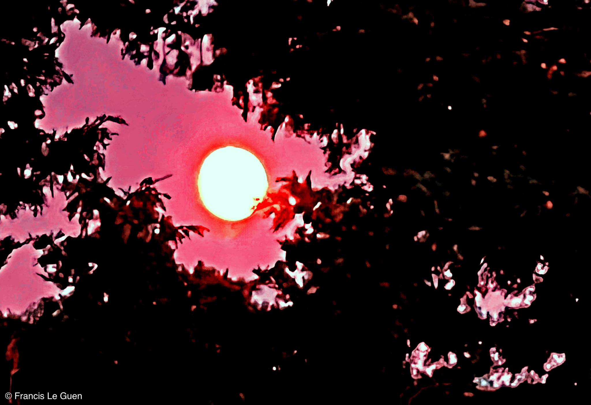 Choses vues. La lune.
